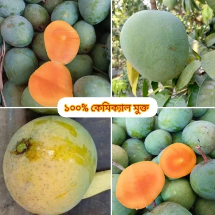 (20 কেজি)সাতক্ষীরার হিমসাগর আম (ফ্রি ডেলিভারি )